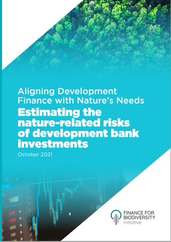 Aligning Development Finance with Nature’s Needs: Estimating the nature-related risks of development bank investments