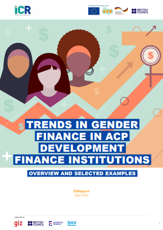 Trends in gender finance in ACP development finance institutions: overview and selected examples